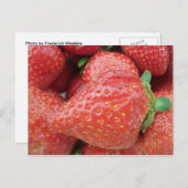 Erdbeere Postkarte (Vorne/Hinten)