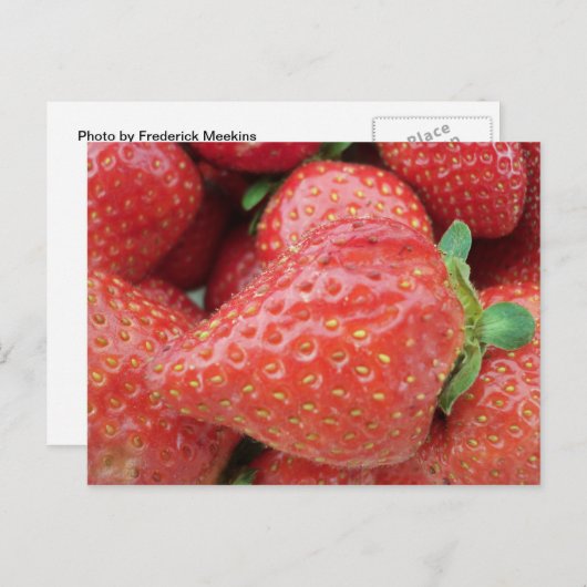 Erdbeere Postkarte (Vorne/Hinten)