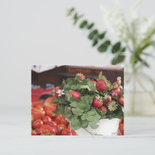 Erdbeere Postkarte (Stehend Vorderseite)