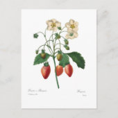 Erdbeere Postkarte (Vorderseite)