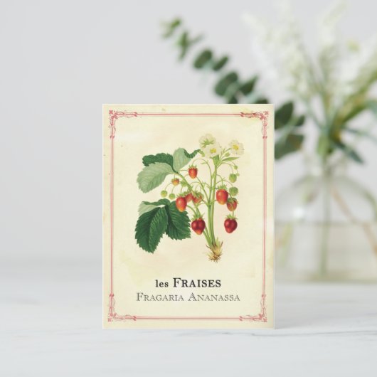 Erdbeere Postkarte (Stehend Vorderseite)