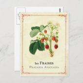 Erdbeere Postkarte (Vorne/Hinten)
