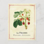 Erdbeere Postkarte (Vorderseite)