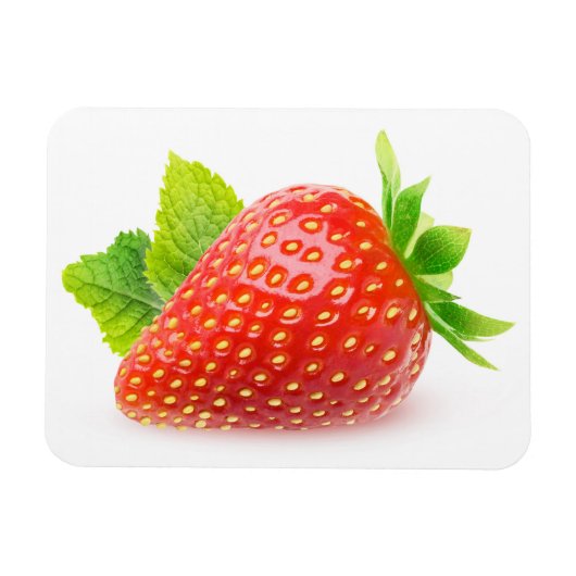 Erdbeere und Minze Magnet (Horizontal)