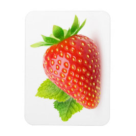 Erdbeere und Minze Magnet