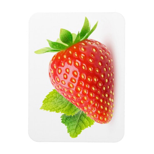 Erdbeere und Minze Magnet (Vertikal)