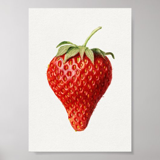 Erdbeere Vintage-Kunst Poster (Vorne)