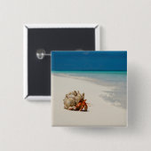 ErdbeerEinsiedlerkrebs | Coenobita Perlatus Button (Vorne & Hinten)