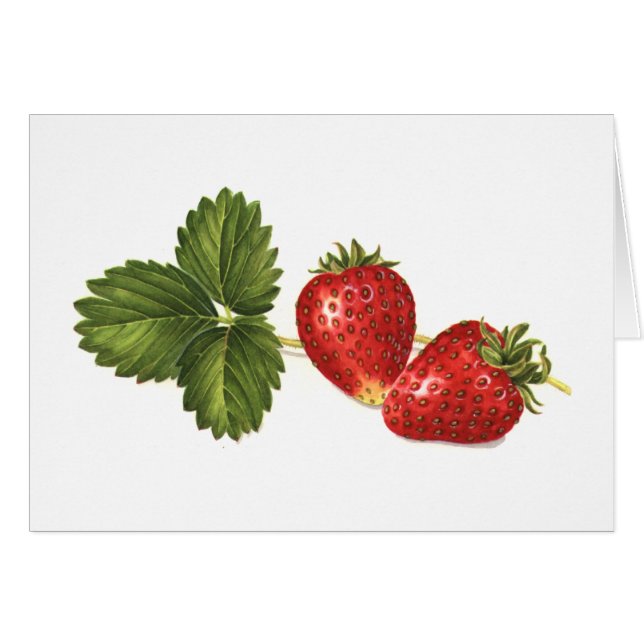 Erdbeeren (Vorderseite (Horizontal))