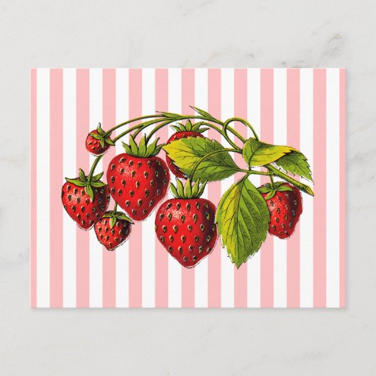 Erdbeeren auf rosa und weiße Streifen Postkarte (Vorderseite)