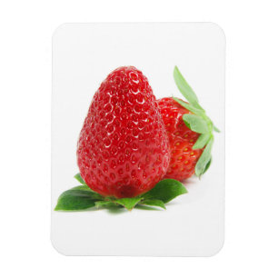 Erdbeeren auf weiß magnet
