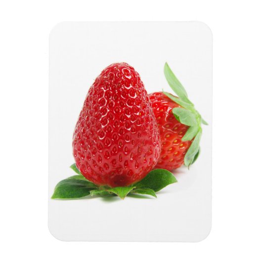 Erdbeeren auf weiß magnet (Vertikal)