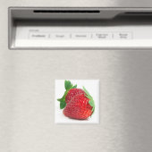 Erdbeeren auf weiß magnet (In Situ (Geschirrspüler))