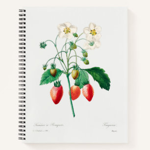 Erdbeeren Botanischer Druck Notizblock
