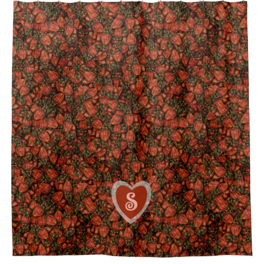 Erdbeeren Duschvorhang (Vorderseite)