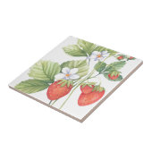 Erdbeeren Fliese (Seite)