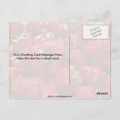 Erdbeeren-Foto Postkarte (Rückseite)