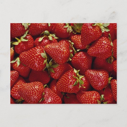 Erdbeeren-Foto Postkarte (Vorderseite)