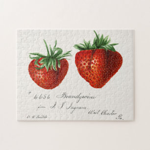Erdbeeren (Fragaria) Frucht Aquarellmalerei Puzzle