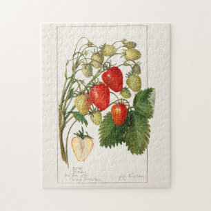 Erdbeeren (Fragaria) Frucht Aquarellmalerei Puzzle