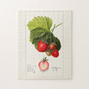 Erdbeeren (Fragaria) Frucht Aquarellmalerei Puzzle