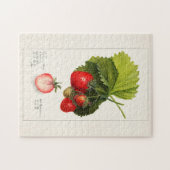 Erdbeeren (Fragaria) Fruchtfarben Puzzle (Horizontal)