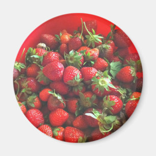 Erdbeeren frisch gepflückte rote Beeren Magnet