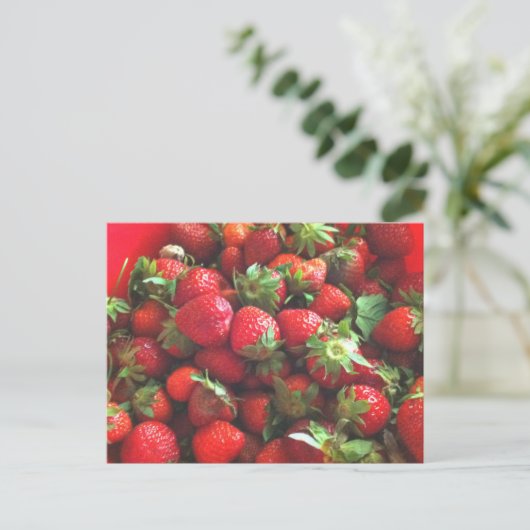 Erdbeeren | frisch gepflückte rote Beeren Postkarte (Stehend Vorderseite)