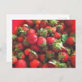 Erdbeeren | frisch gepflückte rote Beeren Postkarte (Vorne/Hinten)