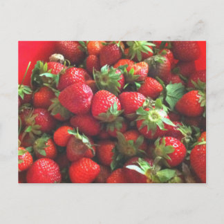 Erdbeeren | frisch gepflückte rote Beeren Postkarte