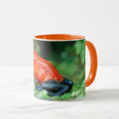 Erdbeeren Gift Dart Frog, Costa Rica Tasse (VorderseiteRechts)
