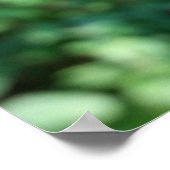 Erdbeeren im Juni Poster (Ecke)