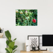 Erdbeeren im Juni Poster (Heimbüro)