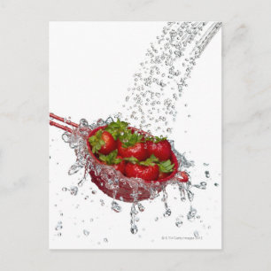 Erdbeeren in roter Farbe Postkarte