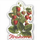 Erdbeeren individuell anpassbar aufkleber (Vorderseite)