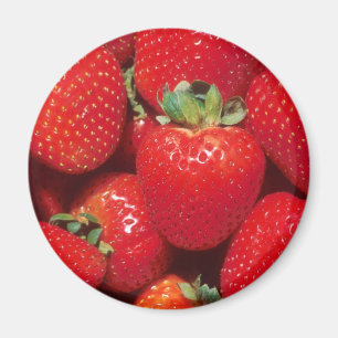Erdbeeren Magnet
