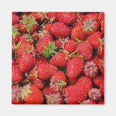 Erdbeeren Magnet (Vorne)