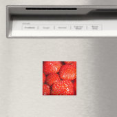 Erdbeeren Magnet (In Situ (Geschirrspüler))
