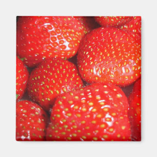 Erdbeeren Magnet