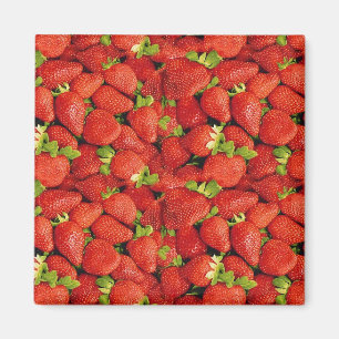Erdbeeren Magnet