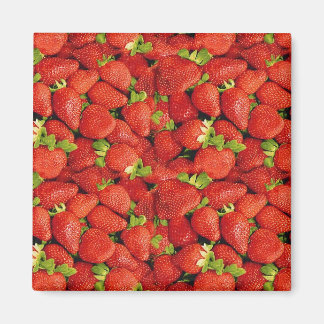 Erdbeeren Magnet