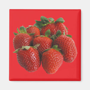 Erdbeeren Magnet