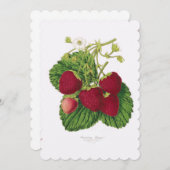 Erdbeeren Nachmittag Nachmittag Einladung (Vorne/Hinten)