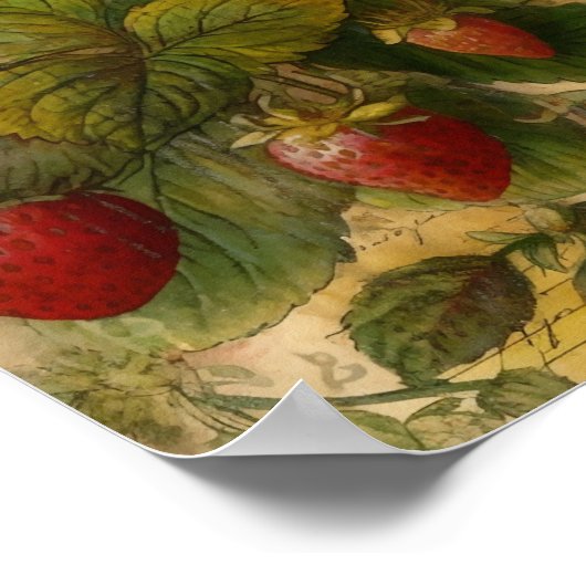 Erdbeeren Poster (Ecke)