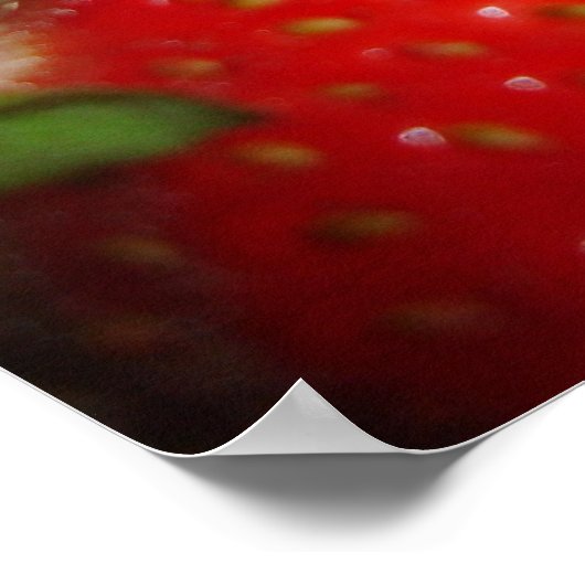 Erdbeeren-Poster Poster (Ecke)