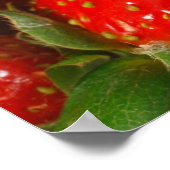 Erdbeeren-Poster Poster (Ecke)