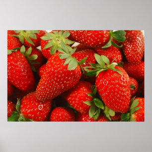 Erdbeeren-Poster Poster