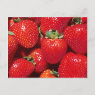 Erdbeeren Postkarte