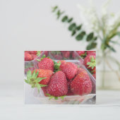 Erdbeeren Postkarte (Stehend Vorderseite)