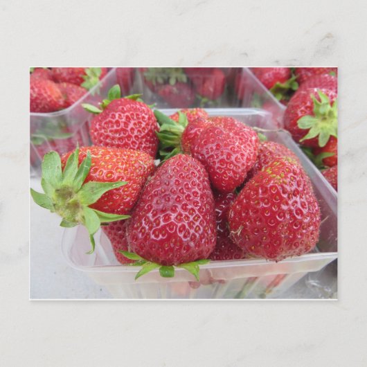 Erdbeeren Postkarte (Vorderseite)